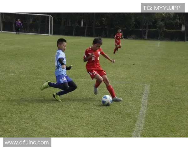 李丽的足球人生：从绿茵场到梦想实现的心路历程